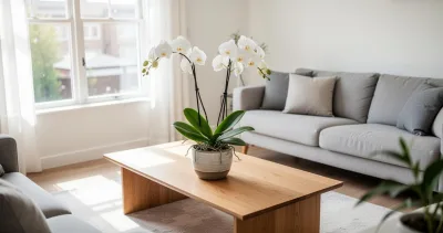 Guide pratique : comment tailler votre orchidee pour préserver sa santé et ses fleurs