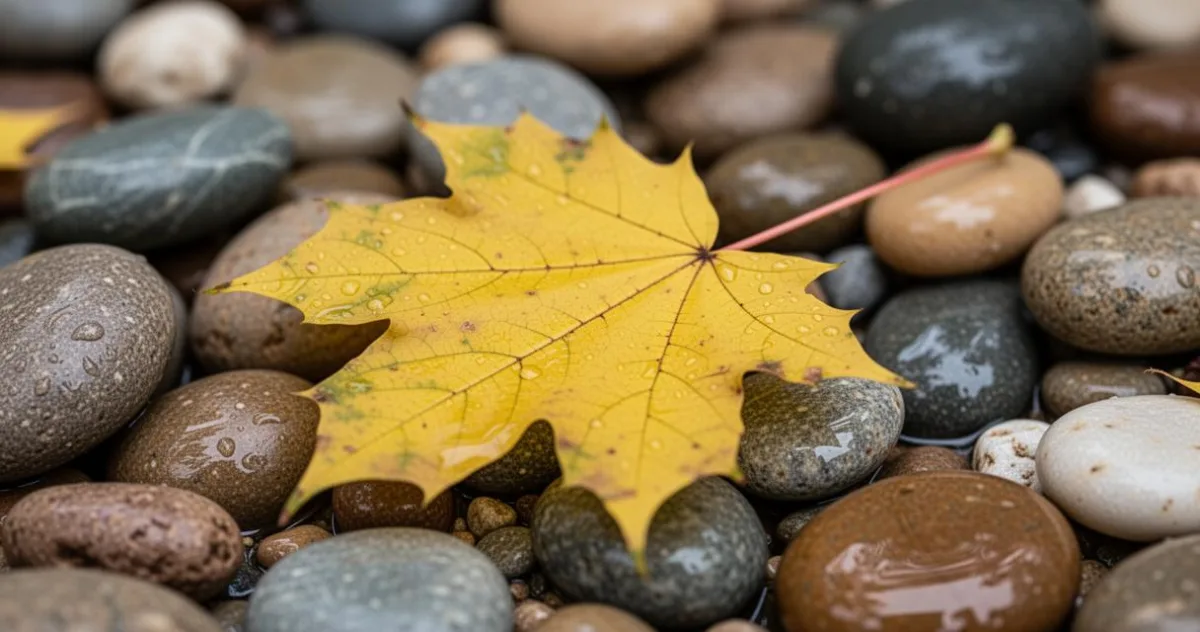 Nettoyage du jardin : quel aspirateur choisir pour vos feuilles et graviers ? – image 3
