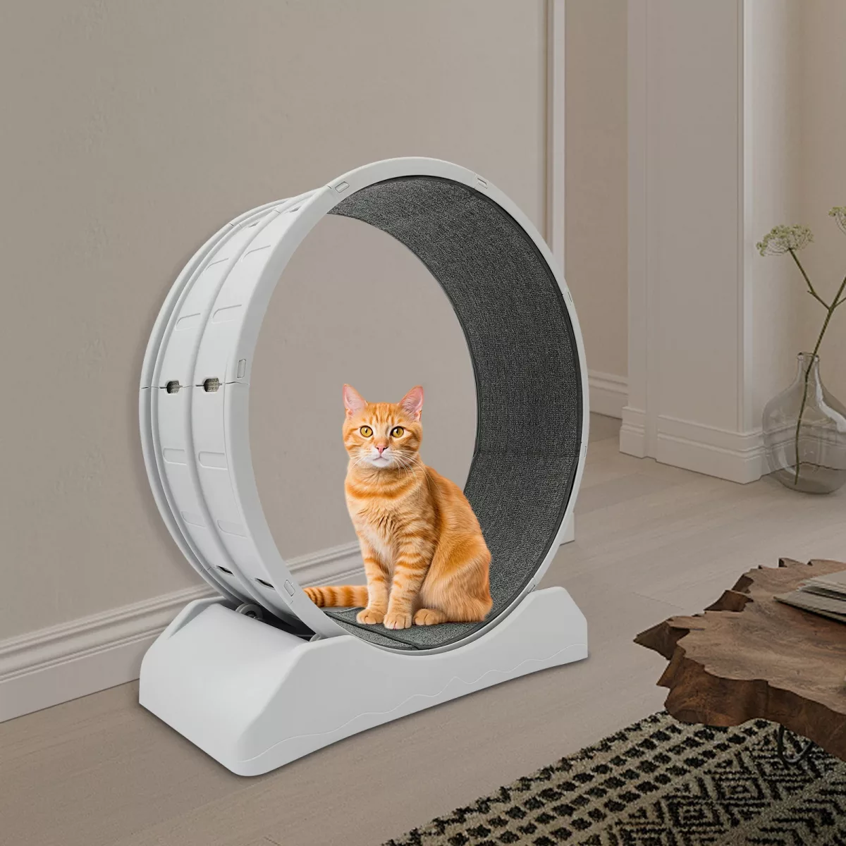 Roue de course grise pour chat, montage au sol