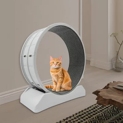 Roue de course grise pour chat, montage au sol
